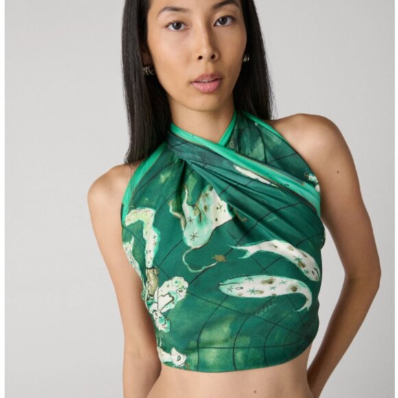 DVF (NWT) Zodiac Flag Silk Scarf Color, Zodiac Earth - Picture 2 of 7